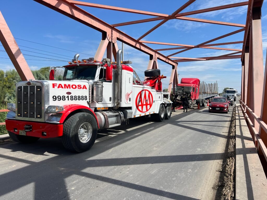 imagen de whatsapp 2025 11 12 a las 00.41.51 4d959914